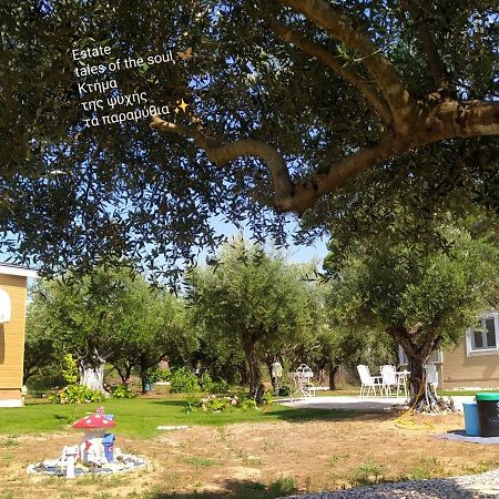 Bungalows With Private Pools "Tales Of The Soul - Της Ψυχής Τα Παραμύθια" Anemochori Exterior foto